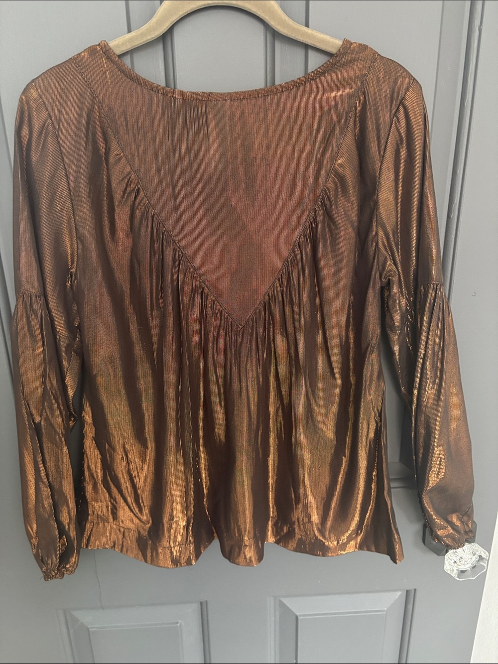 Amandine Shimmery Bronze Peasant Blouse View 5